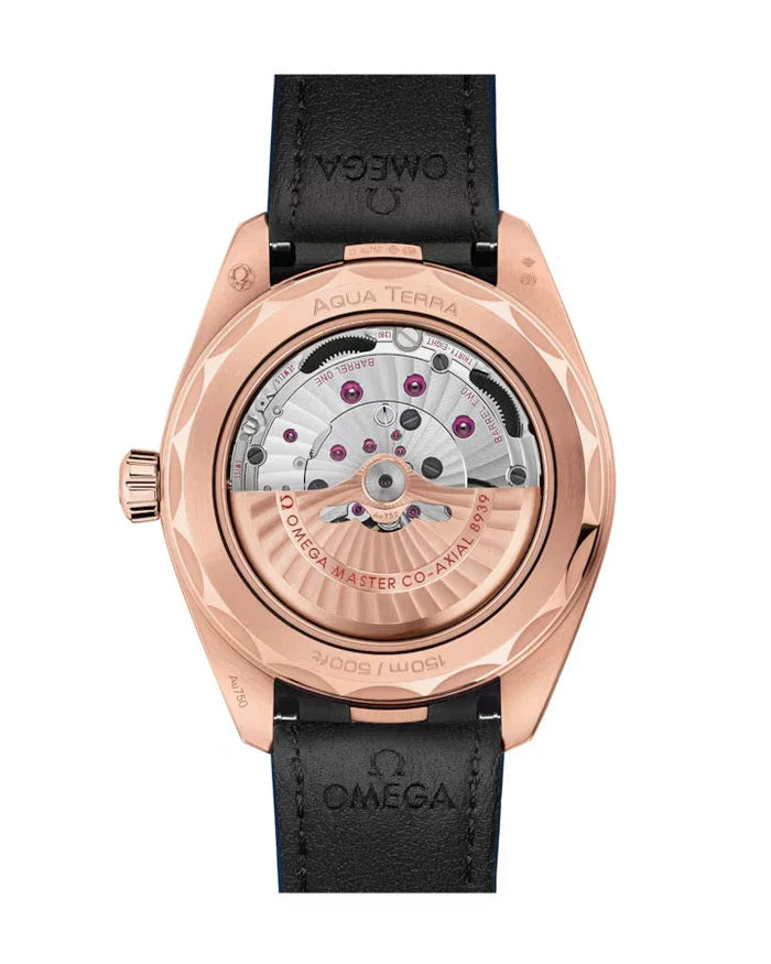 Seamaster Aqua Terra Worldtimer 150M Paris