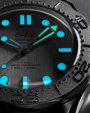 Seamaster Diver 300M