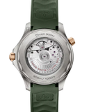 Seamaster Diver 300M